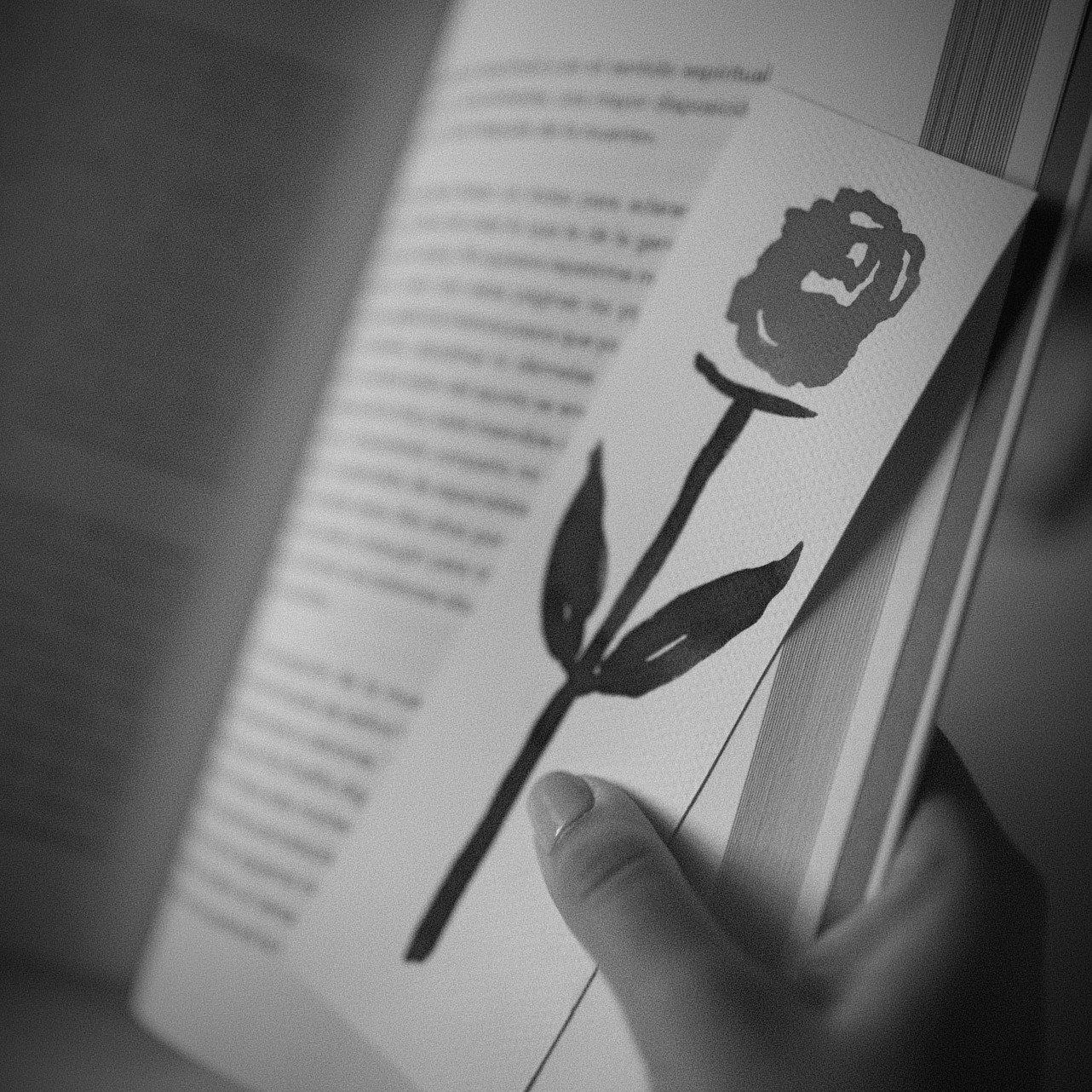 Club de lectura en español en Lisboa